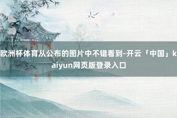 欧洲杯体育从公布的图片中不错看到-开云「中国」kaiyun网页版登录入口