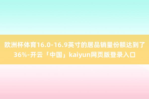 欧洲杯体育16.0-16.9英寸的居品销量份额达到了36%-开云「中国」kaiyun网页版登录入口